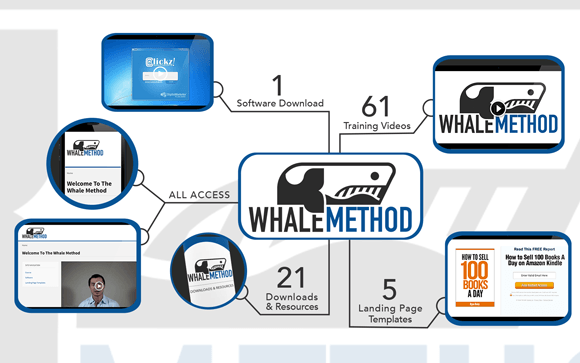 Whales forex services