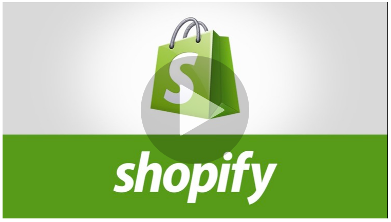 Advanced Shopify Course For Building a Professional Store download
