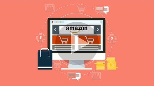 The Amazon FBA Seller Beginner’s Toolkit download