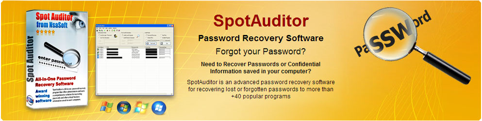 SpotAuditor Password Recovery Software download