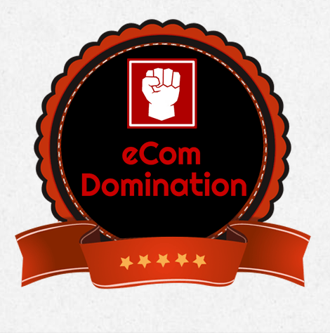 eCom Domination 2017 – Jon Bowtell and Sam England download