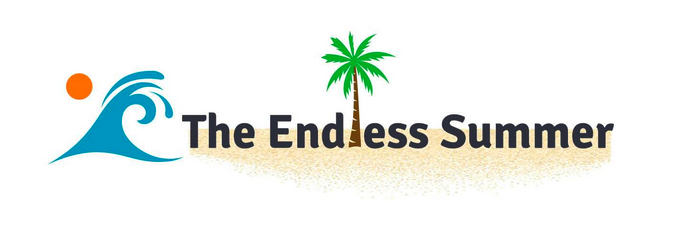 The Endless Summer Google Shopping Course – Sharad Thaper download