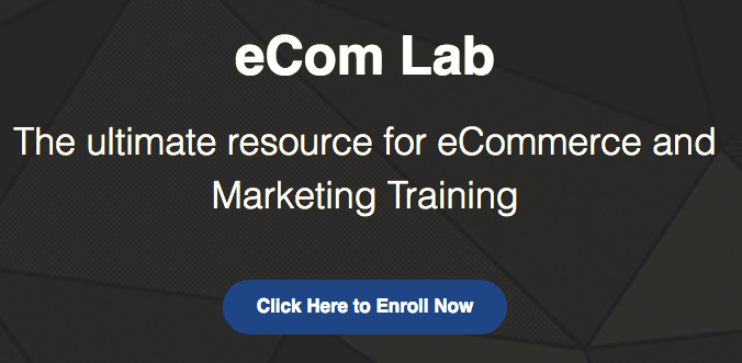 eCom Lab – Matt Gartner download
