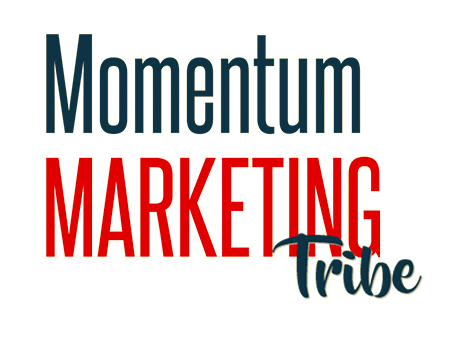 Momentum Marketing Tribe – Mohamed Ali Aguel download