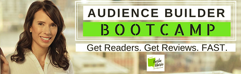 Audience Builder Bootcamp – Karla Marie download