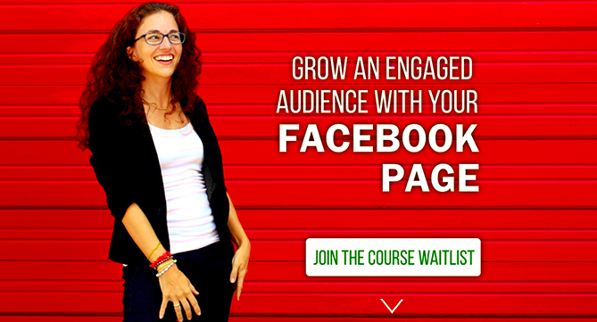 Facebook Page Strategies X-Course – Moolah download