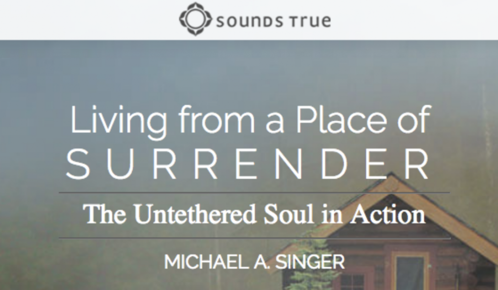 Living From a Place of Surrender – Michael Singer download