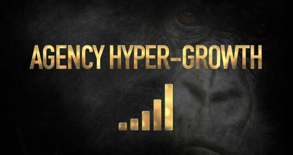 Agency Hyper Growth – Sebastian Robeck and Bryan Ostemiller download