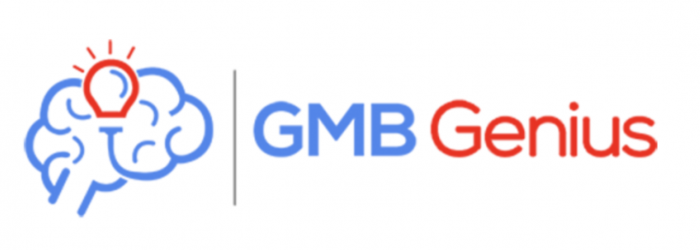 GMB Genius – Mike Steffens download