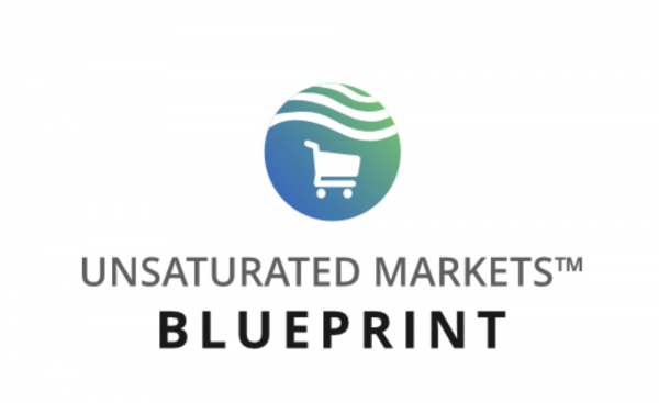 Unsaturated Markets™ Blueprint – Daniel Spurman download
