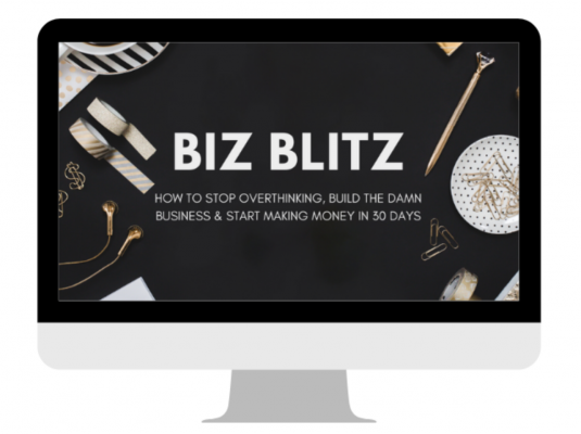 Biz Blitz – Elise McDowell download