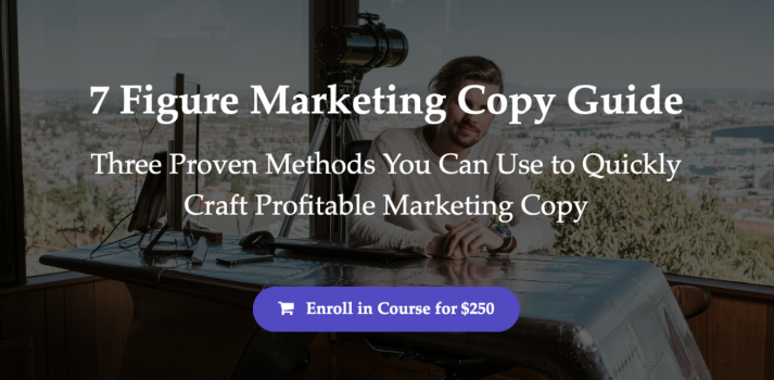 7 Figure Marketing Copy Guide – Sean Vosler download