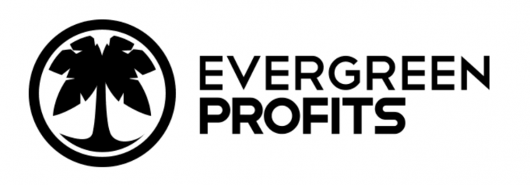 Evergreen Profits Newsletter 2020-2021 – Hustle & Flowchart download