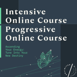 Progressive and Intensive Online Course Bundle – Joe Dispenza download