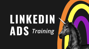 Super Lumen – The LinkedIn Ads Course