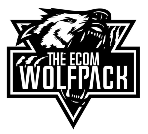 The Ecom Wolf Pack – Dropshipping To Branding Course