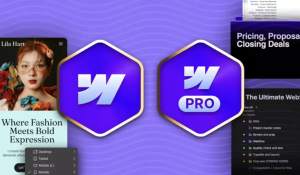 Ran Segall – Webflow Masterclass 5.1 Pro